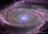 90EQ 天文望遠(yuǎn)鏡CELESTRON美國(guó)星特朗AstroMaster90EQ