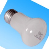 F燈泡 PHILIPS 40W 220V 螺口 已停產，找代用型號>>